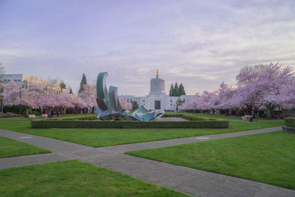 The capitol building in Salem, Oregon with cherry blossoms